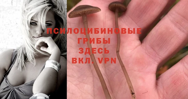 таблы Кодинск