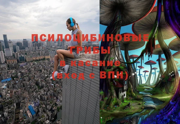 таблы Кодинск