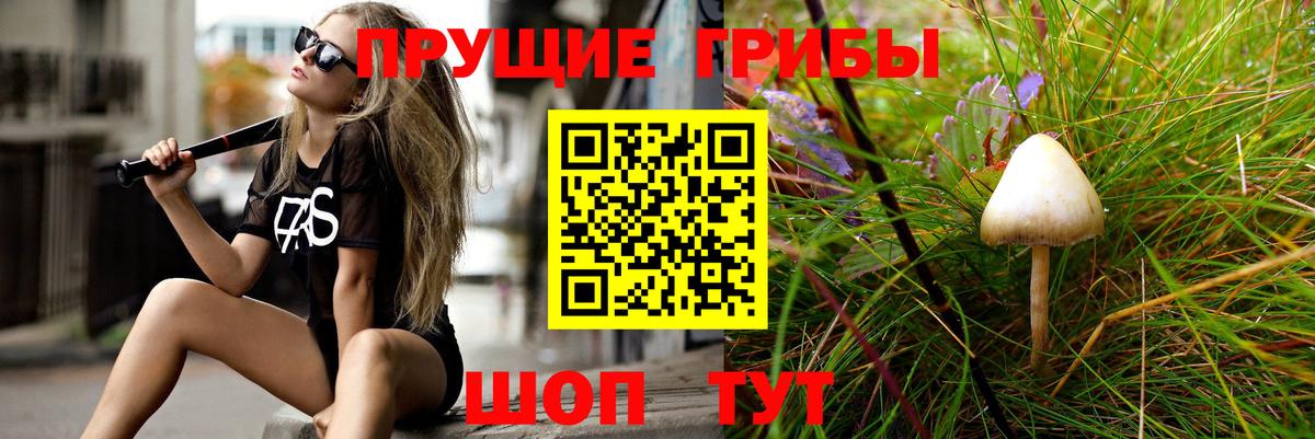 Галлюциногенные грибы Psilocybe  Лосино-Петровский 