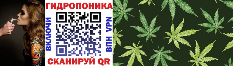 kraken зеркало  Лосино-Петровский  Бошки марихуана White Widow 